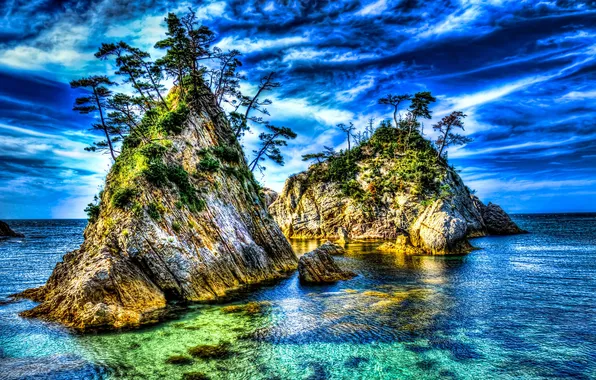 Sea, trees, nature, rocks, hdr