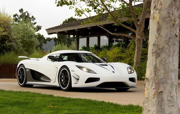 Picture white, the sky, trees, house, Koenigsegg, white, front view, trees
