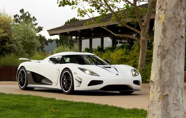 White, the sky, trees, house, Koenigsegg, white, front view, trees