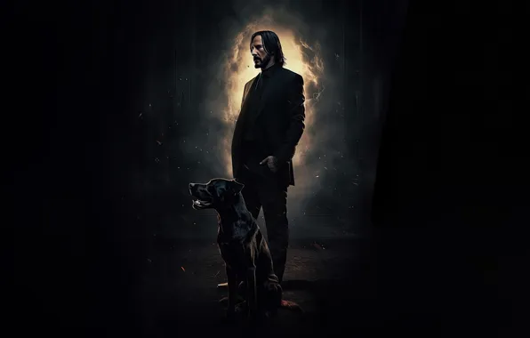 Picture dog, spirit, john wick