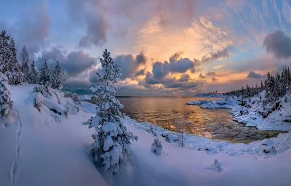 Picture winter, forest, snow, lake, ate, the snow, Russia, Lake Ladoga