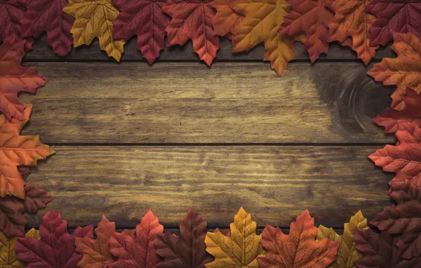 Autumn, leaves, background, tree, wood, background, autumn, leaves