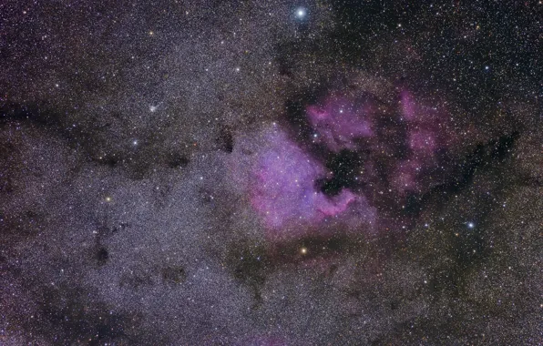 Nebula, North American, NGC 7000