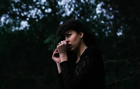 Look, sprig, sponge, needles, Michael Farber