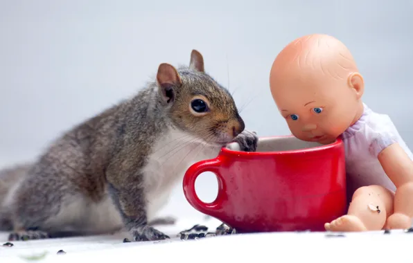 Pose, toy, doll, protein, mug, Cup, grey, face