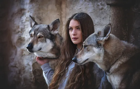 Dogs, girl, pose, wall, fantasy, wolves, brown hair, curls