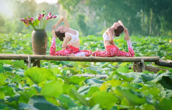 Picture summer, leaves, nature, girls, gymnastics, yoga, legs, Asian girls