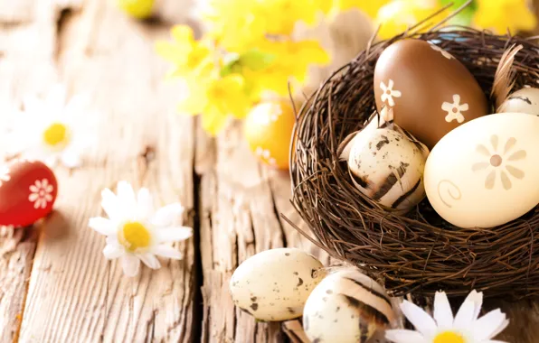 Chamomile, eggs, Easter, wood, flowers, eggs, easter, camomile
