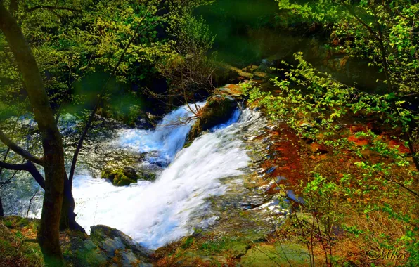 Waterfall, River, Forest, Waterfall, River, Forest