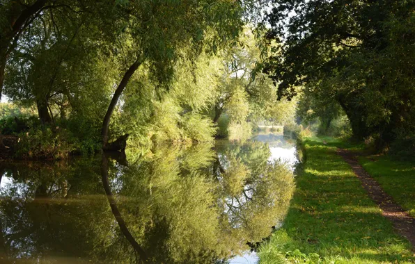 Picture road, grass, Park, reflection, river, IVA