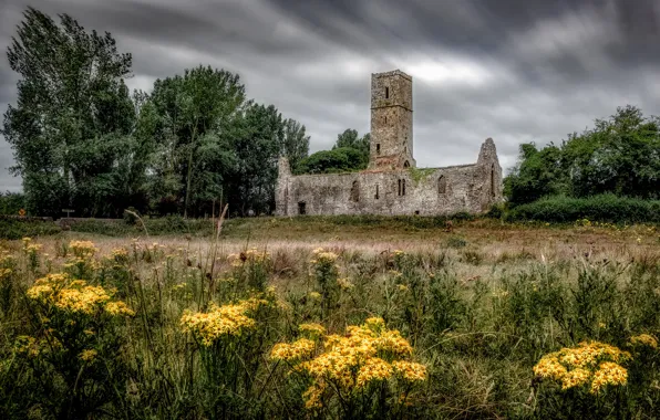 Picture field, grass, trees, flowers, clouds, castle, glade, yellow
