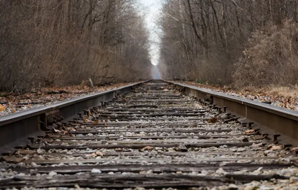 Nature, perspective, railroad