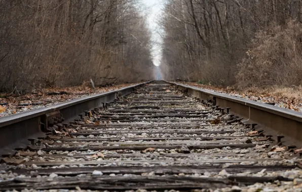 Picture nature, perspective, railroad