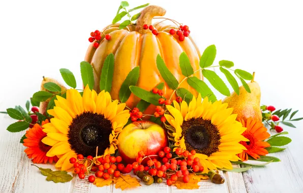 Picture autumn, leaves, sunflowers, berries, apples, harvest, pumpkin, fruit
