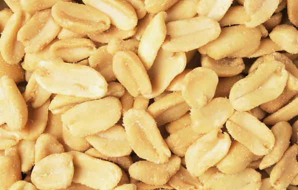 Macro, food, nuts, delicious, peanuts, salt