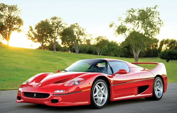 Auto, ferrari, f50