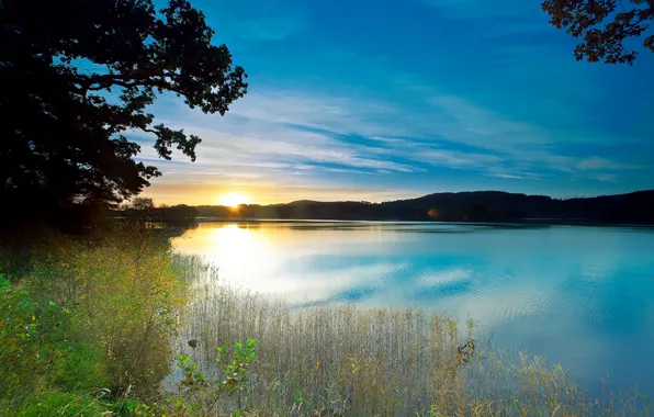 The sky, clouds, trees, landscape, sunset, nature, lake