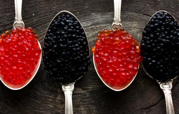 Close-up, black, red, caviar, bokeh, four, spoon