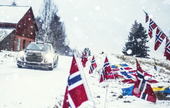 Ford, Winter, Auto, Snow, Sport, Machine, Ford, Race