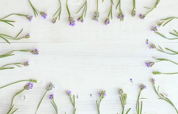Flowers, sprig, background, lavender