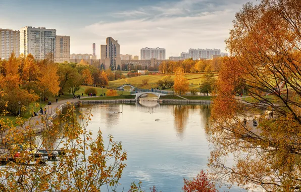 Picture autumn, trees, landscape, branches, nature, the city, pond, Park