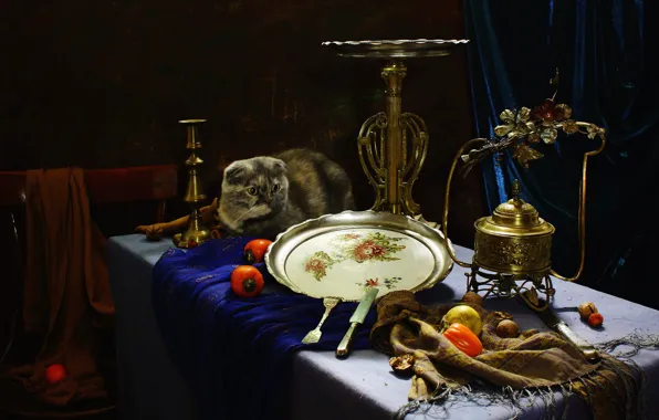 Cat, cat, look, table, chair, dishes, still life, items