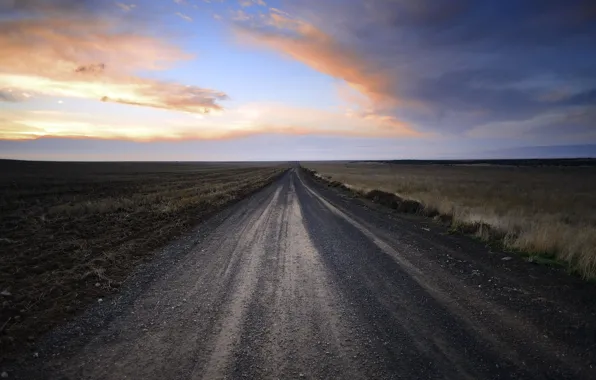 Road, field, the sky, nature