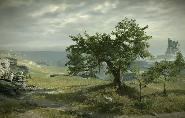 Tree, rocks, view, Shadow of the Colossus, In the shadow of the colossus, panormama