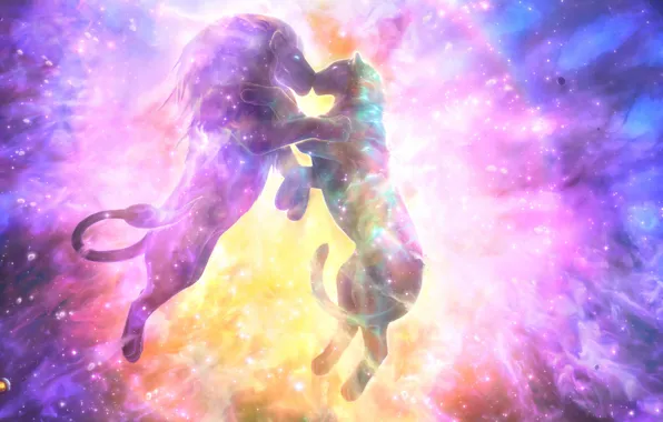 Picture space, love, nebula, Leo, pair, lioness