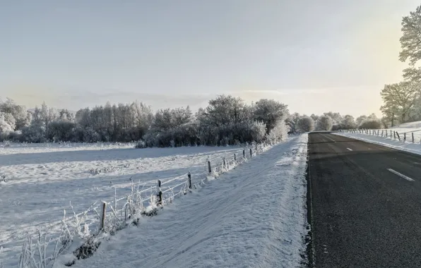 Winter, road, morning