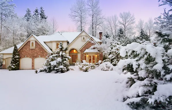 Winter, Snow, Winter, Snow, Snow trees, Winter Cottage, Snow trees, Winter cottage