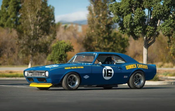 Chevrolet, Camaro, rally, 1968
