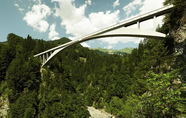 Forest, mountains, bridge, height
