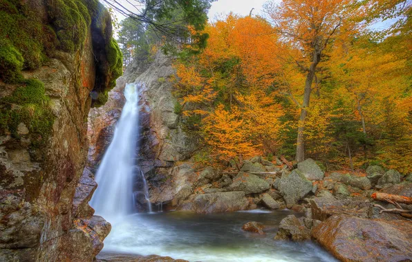 Picture autumn, nature, photo, waterfall, USA, Glen Ellis, New Hampshire