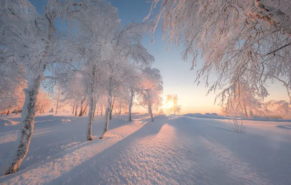 Winter, snow, trees, dawn, morning, Russia, Perm Krai, White mountain
