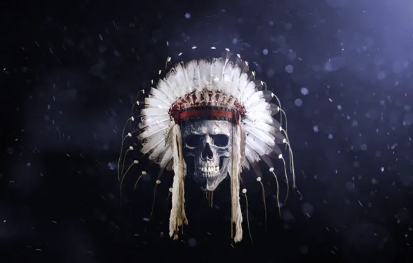 Picture skull, feathers, Indian