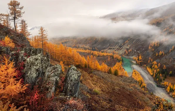 Colors, river, trees, autumn, cliff