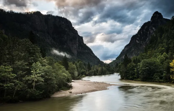 Forest, the sky, clouds, trees, mountains, clouds, river, overcast