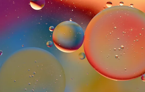 Water, bubbles, oil, the air, the volume