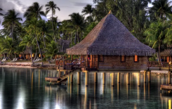 Sea, tropics, palm trees, shore, the evening, Bungalow