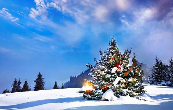 Ice, the sky, light, snow, lights, tree, New year, ice
