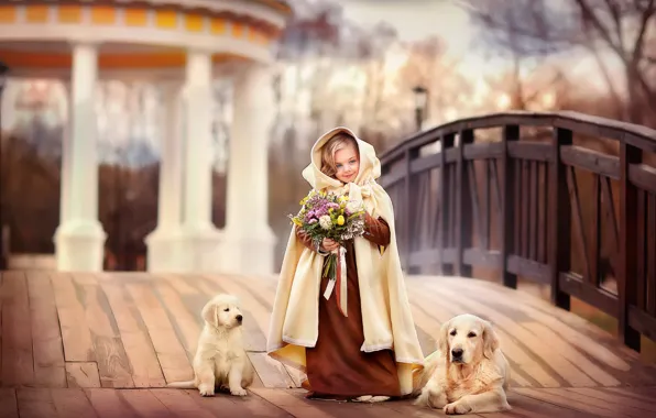 Bridge, dog, bouquet, girl, outfit, puppy, Labrador, lady