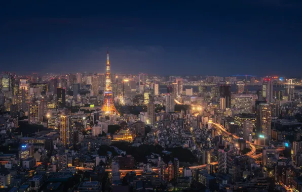 The sky, night, the city, lights, view, building, skyscrapers, Japan