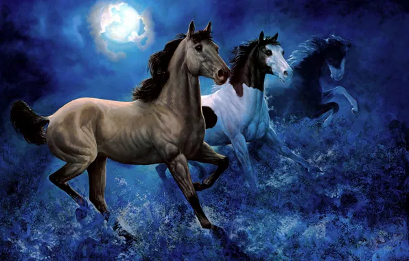 The sky, look, light, night, pose, darkness, the dark background, blue