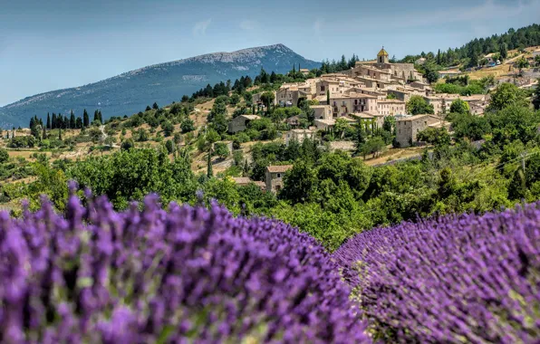 France, village, lavender, Provence