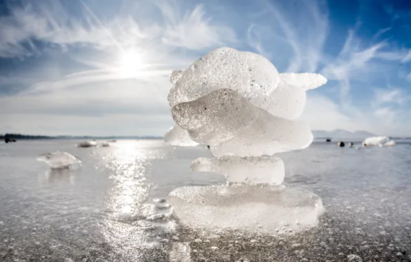 Winter, snow, nature, ice