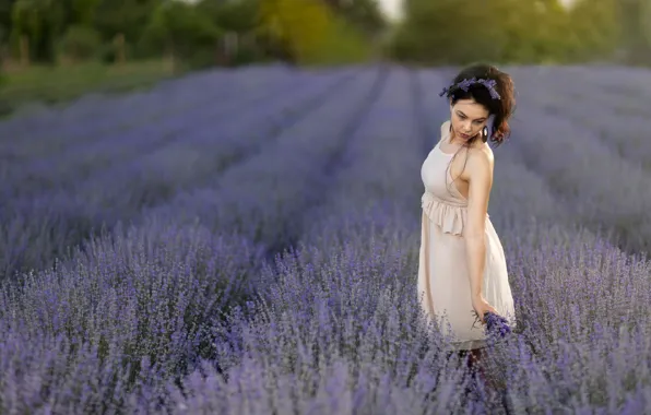 Field, girl, flowers, pose, lavender, bokeh, Andrea Carretta