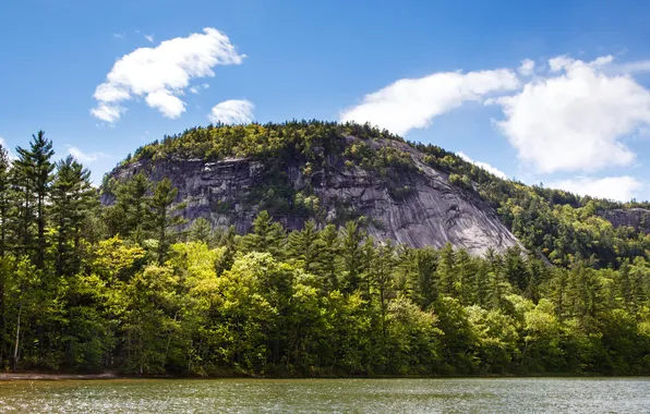 Forest, the sky, clouds, trees, mountains, river, rocks, shore