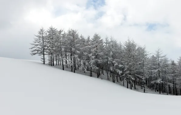 Picture Winter, Harmony, Korean Landscape