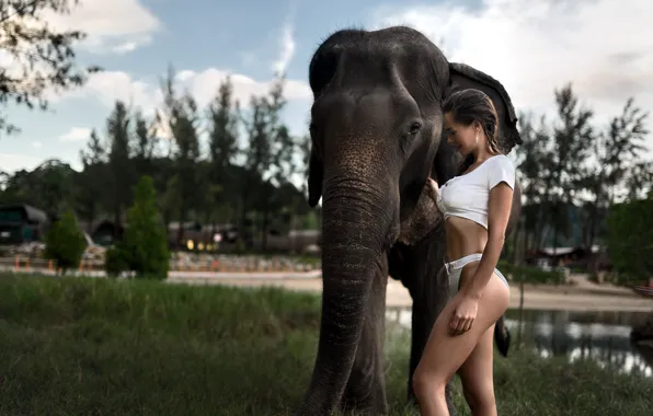 Girl, elephant, Thailand, Nikolay Novikov
